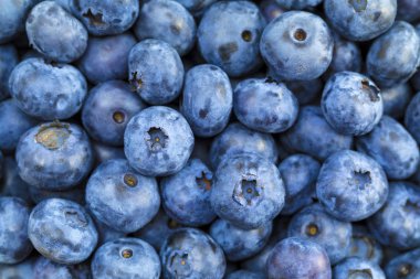 Taze yaban mersini arka plan, üstten görünüm aldı.