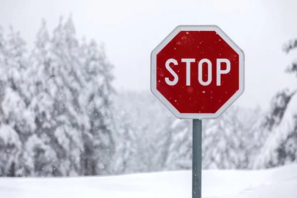 Panneau Arrêt Sur Une Route Enneigée — Photo