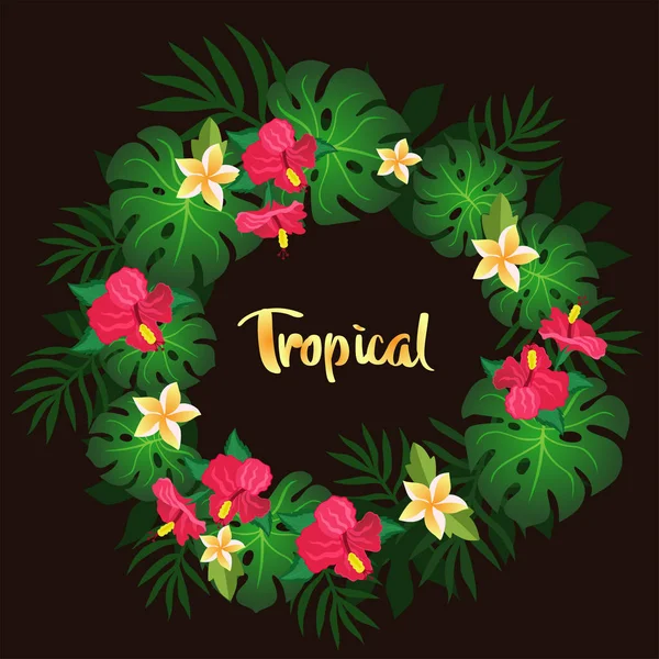 Círculo Tropical Flores Vector Imagen — Vector de stock