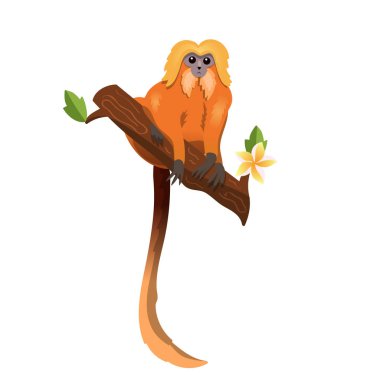 monkey golden lion tamarin on a plumeria branch isolated vector image clipart