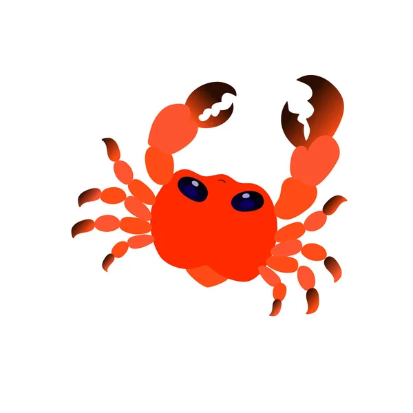 Sea red cute cartoon crab vector image — Stock Vector