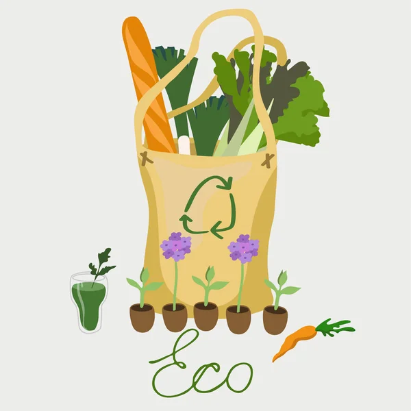 Eco-vriendelijke tas met natuurvoeding vector afbeelding — Stockvector