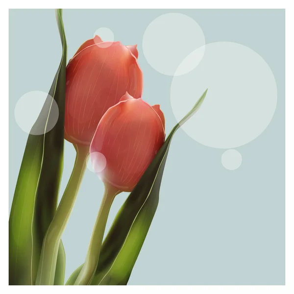 Flor Realista Tulipa. Tulipa em Vector eps10 . —  Vetores de Stock
