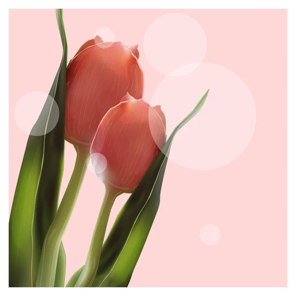 Realistic Flower Tulip. Tulip in Vector eps10.