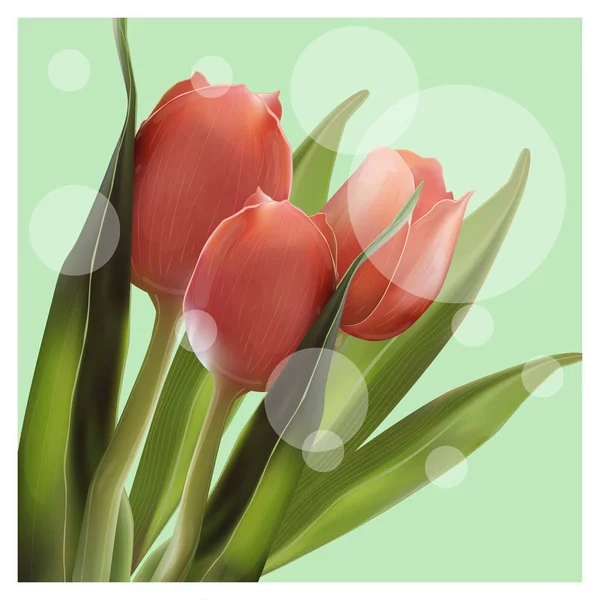 Realistic Flower Tulip. Tulip in Vector eps