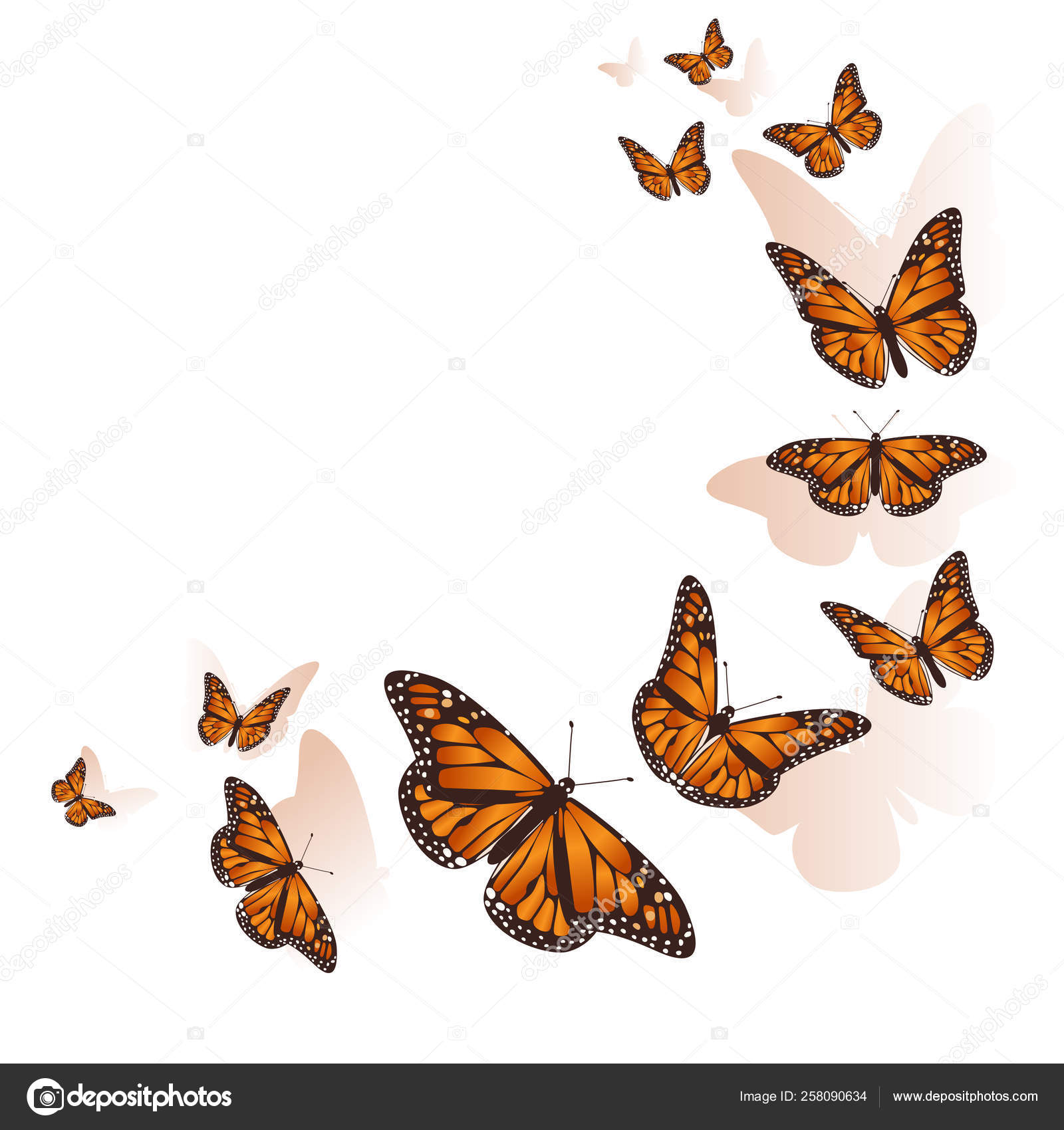 Beautiful butterfly flying in a circle background. Vector. — Stock