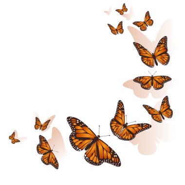 Güzel kelebek bir daire arka plan uçan. Vektör.