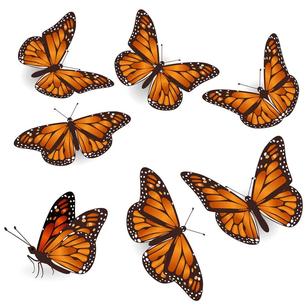 Vector Naranja Tropical Mariposas voladoras conjunto de ilustración — Vector de stock