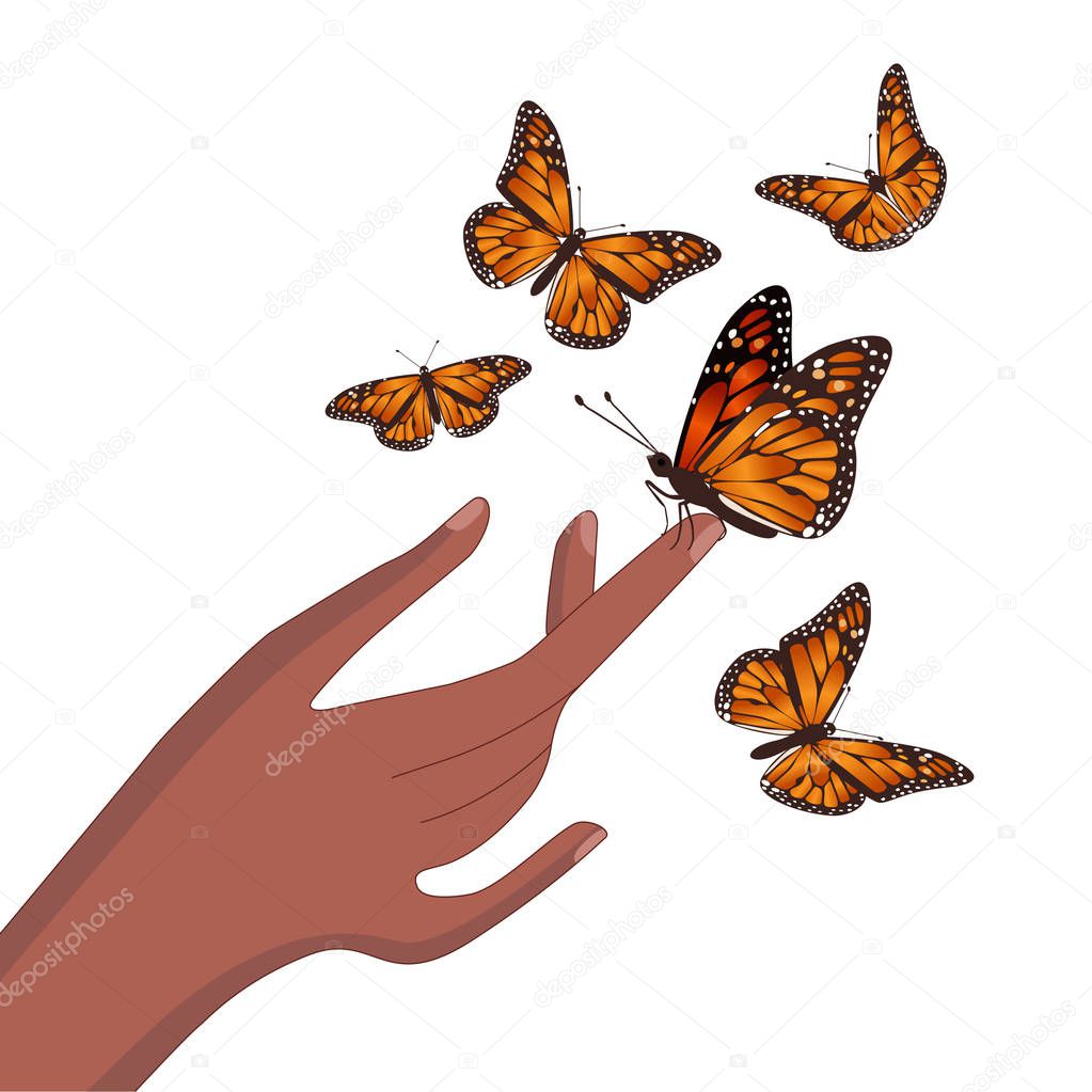 Butterfly sits on hand isolated vector image