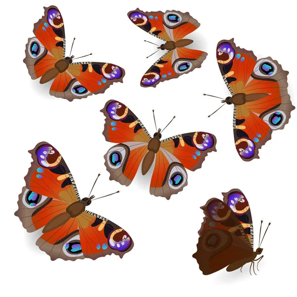 Vektor orange tropische fliegende Schmetterlinge Illustration Set  Stock-Vektorgrafik von ©burbura 258094722