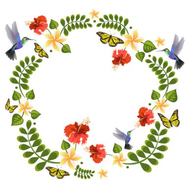 Sinekkuşları, kelebekler, plumeria ve ebegümeci ile vektör illüstrasyon. Davetiyeler, düğün kartları için çiçek çizimleri. Çiçek çelengi ile çiçek kartı. Daire çerçeveli çiçekler.