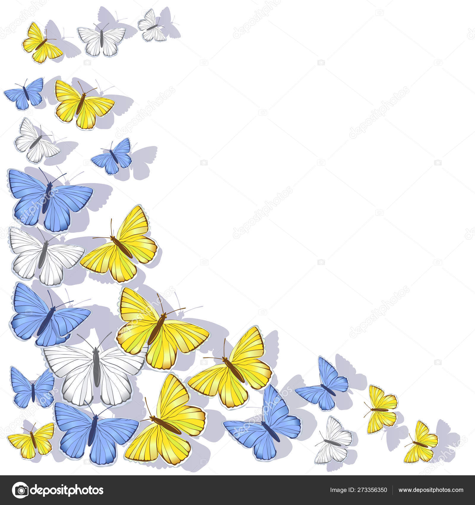 黄色、蓝色、白色蝴蝶的网角框架，在白色背景上隔离。矢量剪贴画. 图库矢量图©burbura 273356350, image size:1600x1700