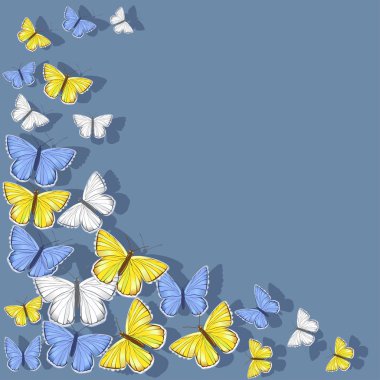 Mavi arka plan üzerinde sarı, mavi, beyaz kelebekler köşe çerçevesi. Vektör clipart.