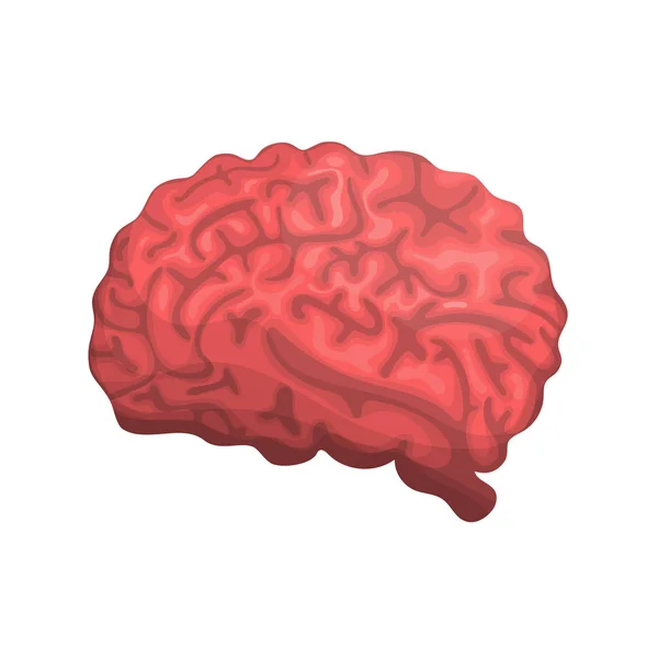 Brain or mind side view vector icon for medical apps and websites — Stock Vector