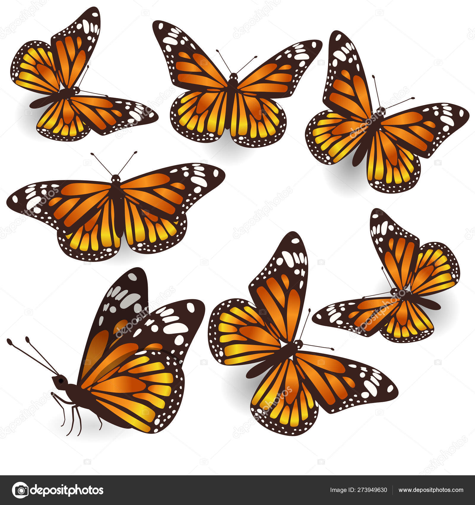 Vektor orange tropische fliegende Schmetterlinge Illustration Set