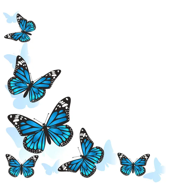 Elemento de diseño. Marco hecho de mariposas. Mariposas azules sobre fondo blanco. imagen vectorial — Archivo Imágenes Vectoriales