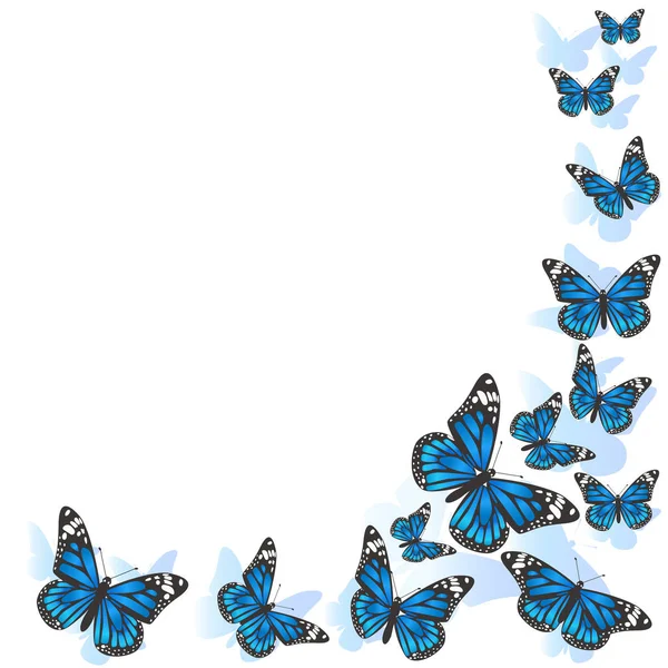 Élément de design. Cadre fait de papillons. Papillons bleus sur fond blanc. image vectorielle — Image vectorielle