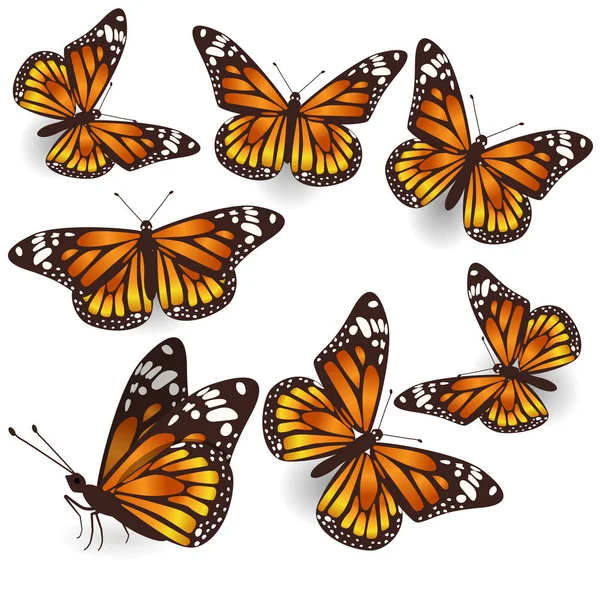 Vector Orange Tropical flying Butterflies Illustration Set — Stock Vector