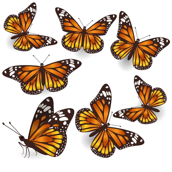 Vector Naranja Tropical Mariposas voladoras conjunto de ilustración — Vector de stock