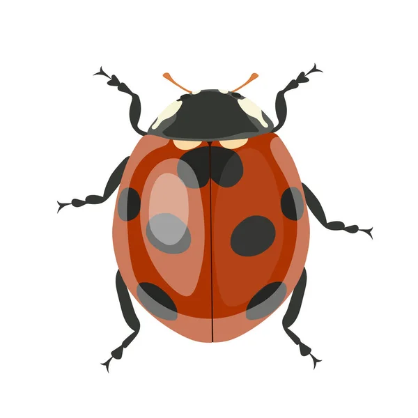 Ladybug. Vector clipart isolated on white background. — Stock Vector