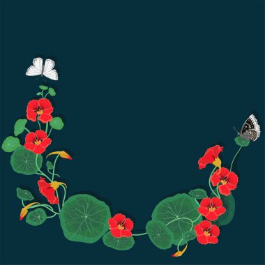 Kelebekler ile nasturtium çiçek yuvarlak çerçeve. Vektör şablonu.