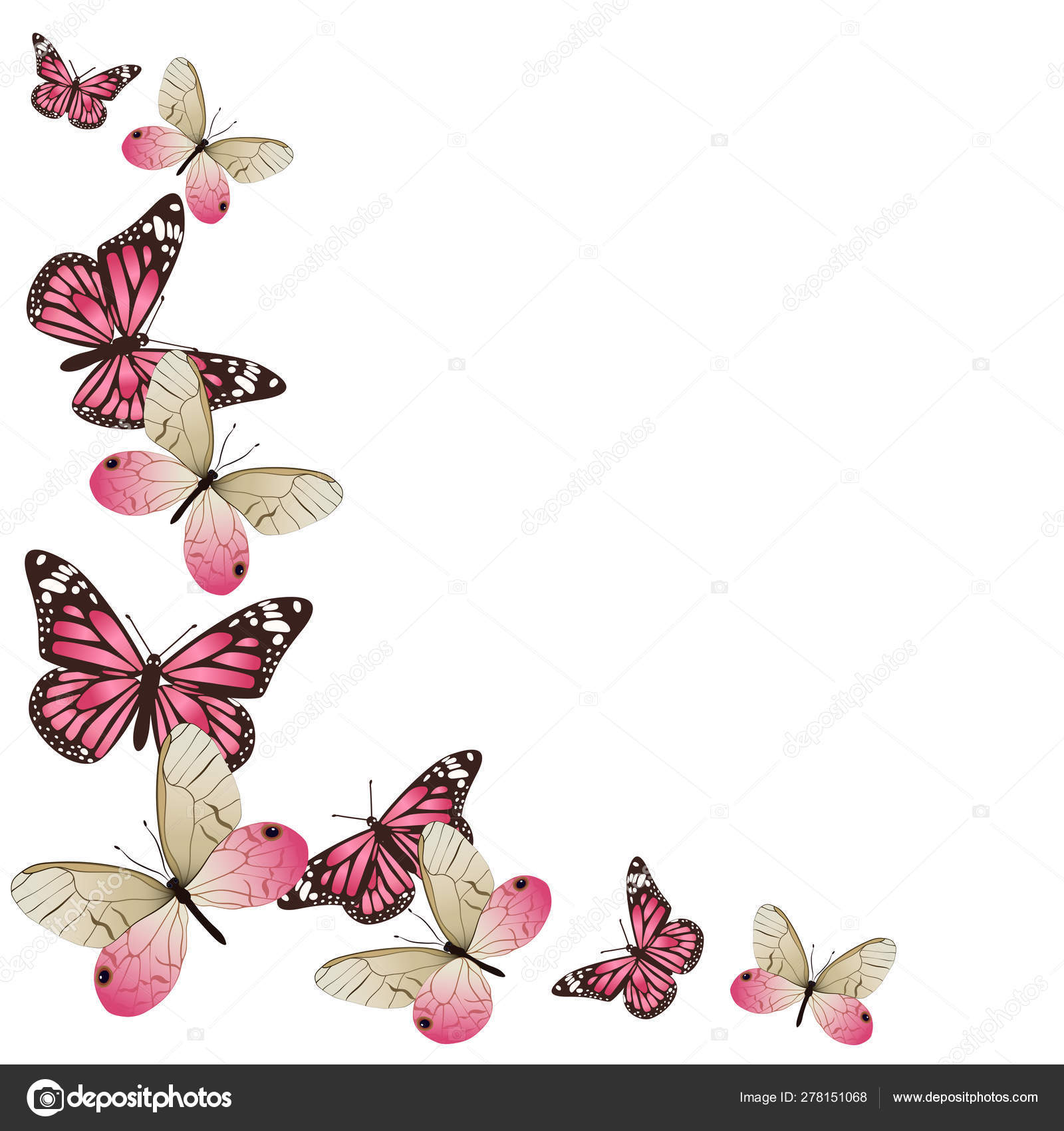Frame of pink butterflies in flight. Isolated on white background
