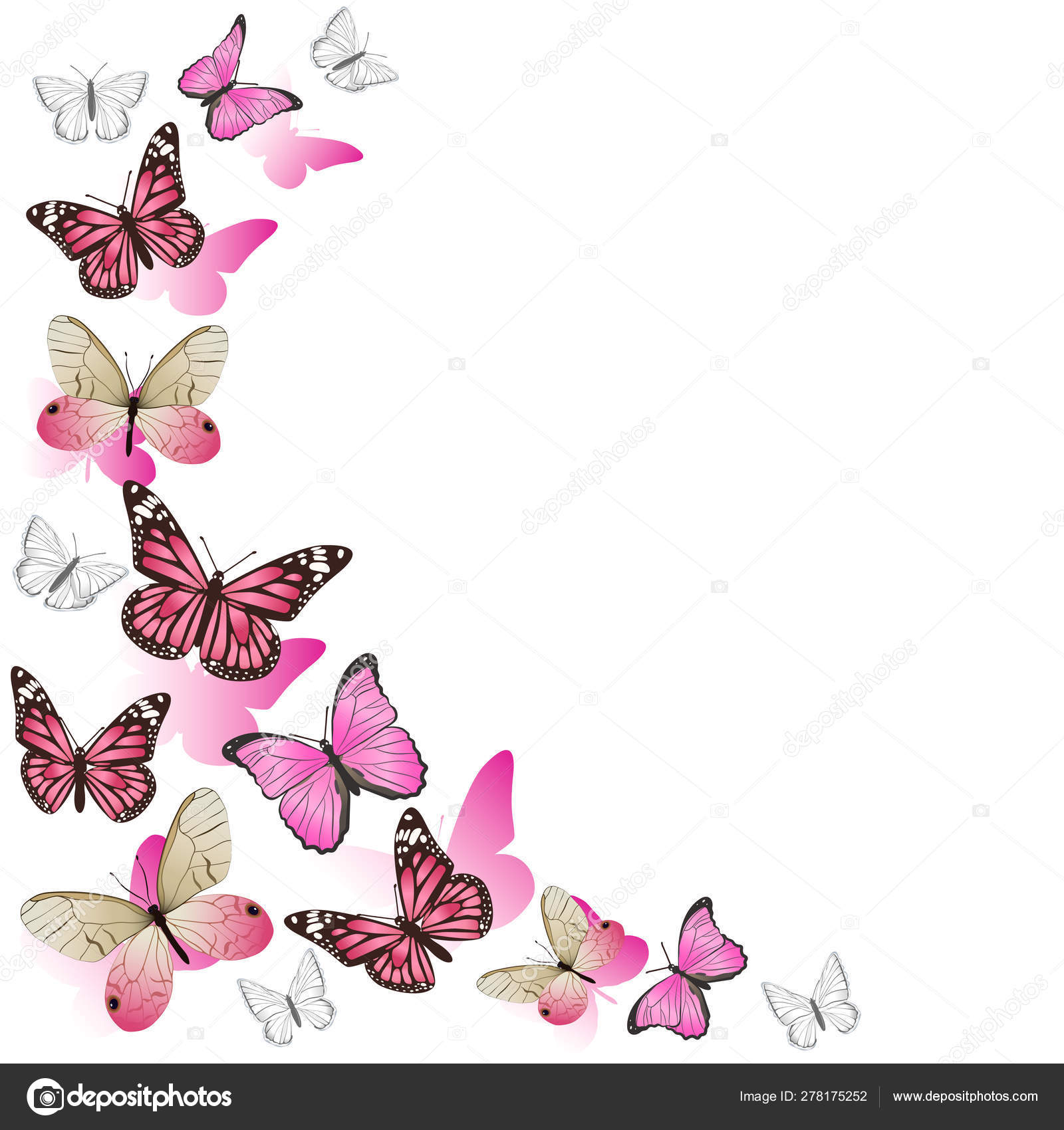 Image vectorielle Cadre de papillons roses en vol. Isolé sur fond blanc.  Graphiques vectoriels . par ©burbura - 278175252, image size:1600x1700