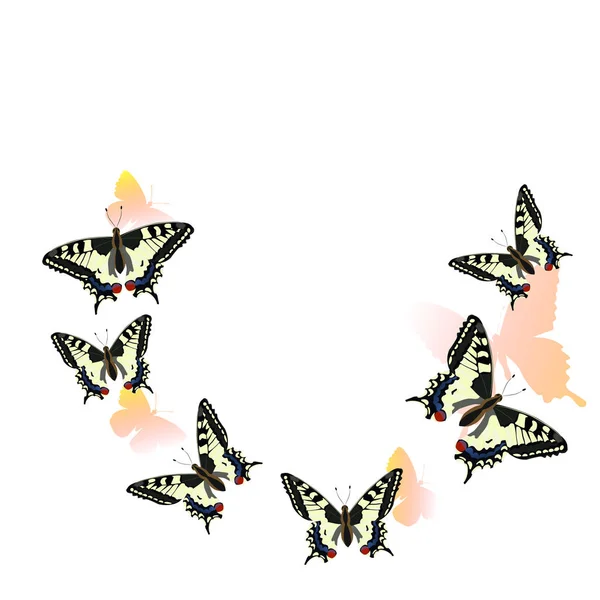 Swallowtail Mariposas volando en círculo. Aislar sobre fondo blanco . — Vector de stock