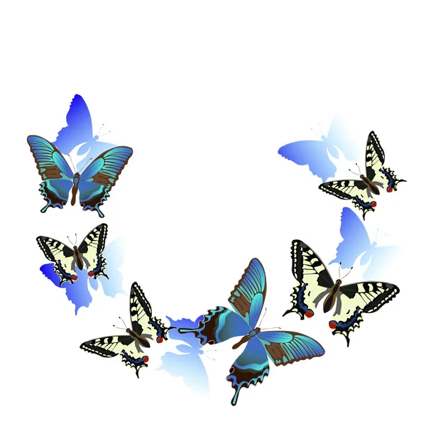 Les papillons hirondelles volent en cercle. Isoler sur fond blanc . — Image vectorielle
