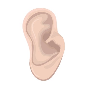 İnsan kulağı. İnsan vücudu parçası beyaz arka plan üzerinde izole. Vektör grafikleri