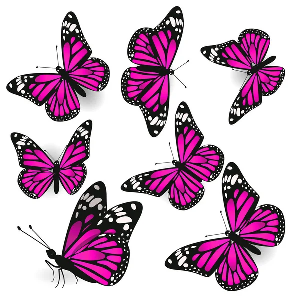 Vektor orange tropische fliegende Schmetterlinge Illustration Set  Stock-Vektorgrafik von ©burbura 258094722