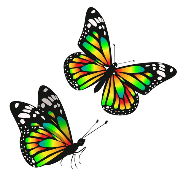Набор из двух токсичных градиентных бабочек. Векторная графика на белом фоне . — стоковый вектор