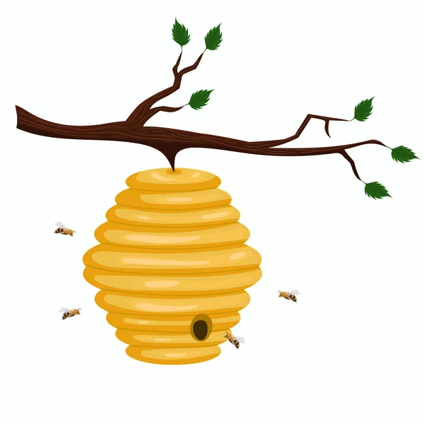 Beehive a vadon élő méhek lóg egy ág. Fehér háttéren izolált vektorgrafikák. — Stock Vector