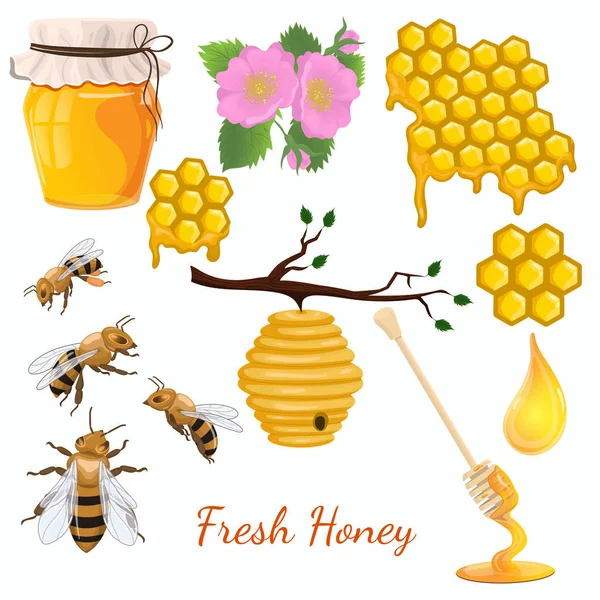 Juego de miel. Conjunto de iconos de abejas. Gráficos vectoriales aislados sobre fondo blanco . — Archivo Imágenes Vectoriales