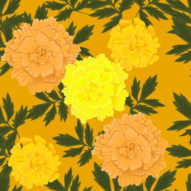 Sarı ve turuncu marigolds ile Dikişsiz desen. Vektör grafikleri.