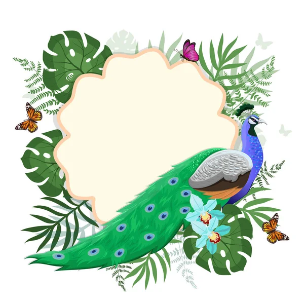 Marco con pavo real, plantas tropicales y mariposas. Gráficos vectoriales . — Vector de stock