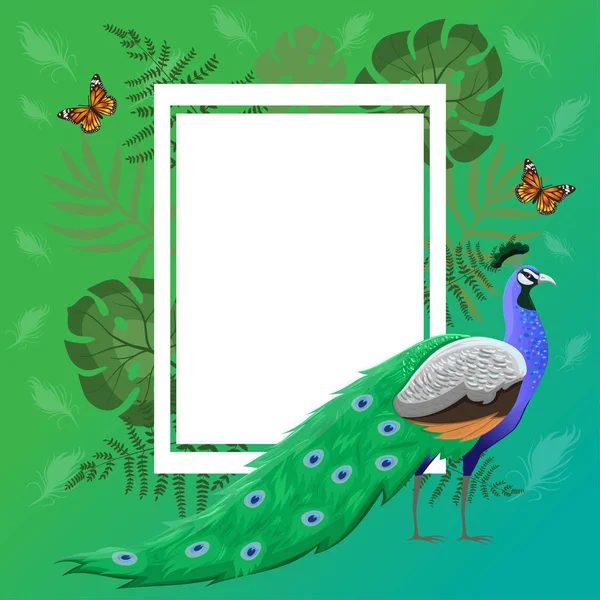 框架与孔雀，热带植物和蝴蝶。矢量图形. — 图库矢量图片