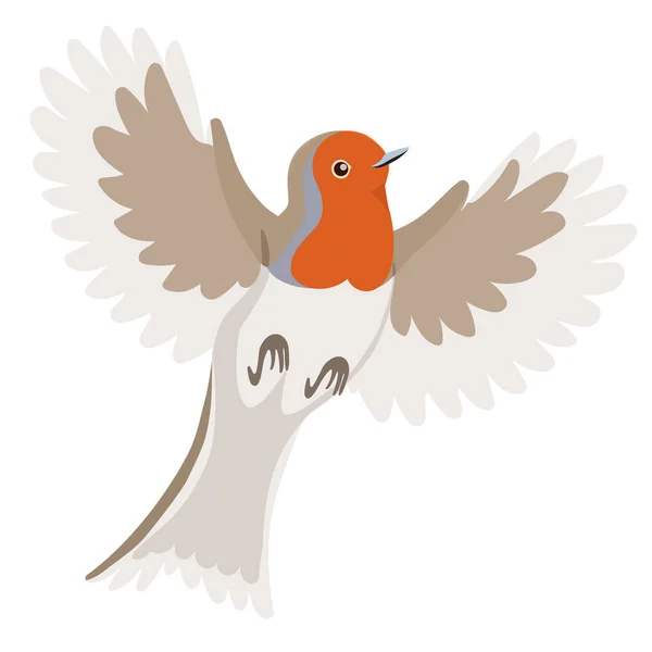 Robin pájaro en vuelo aislado sobre un fondo blanco. Gráficos vectoriales . — Archivo Imágenes Vectoriales