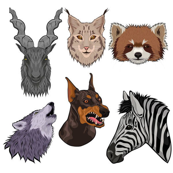 Set of animal heads isolated on a white background. Vector graphics.
