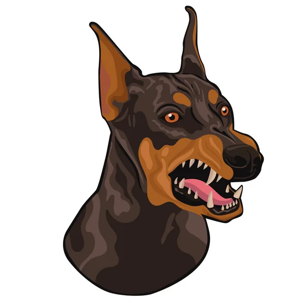 Cabeça de um doberman latindo isolado em um fundo branco. Gráficos vetoriais . — Vetor de Stock