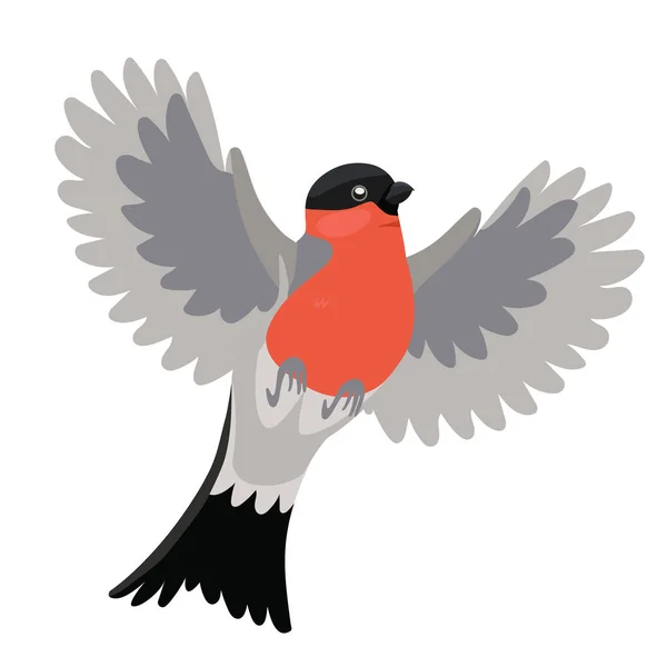 Pták Bullfinch izolovaný na bílém pozadí. Vektorová grafika — Stockový vektor
