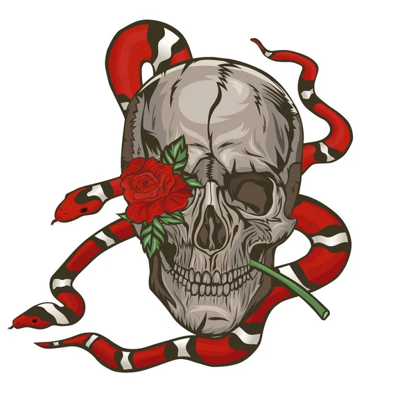 Teschio con un serpente di latte e una rosa. Grafica vettoriale — Vettoriale Stock