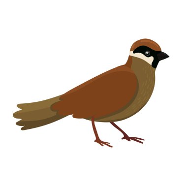 Serçe beyaz bir arka plan üzerinde izole. Vektör grafikleri.