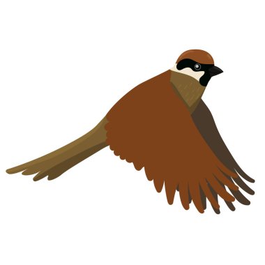 Serçe beyaz bir arka plan üzerinde izole. Vektör grafikleri.