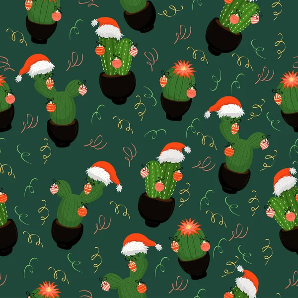 Noel kaktüsü. Kusursuz bir yeni yıl düzeni. 10 saniye.