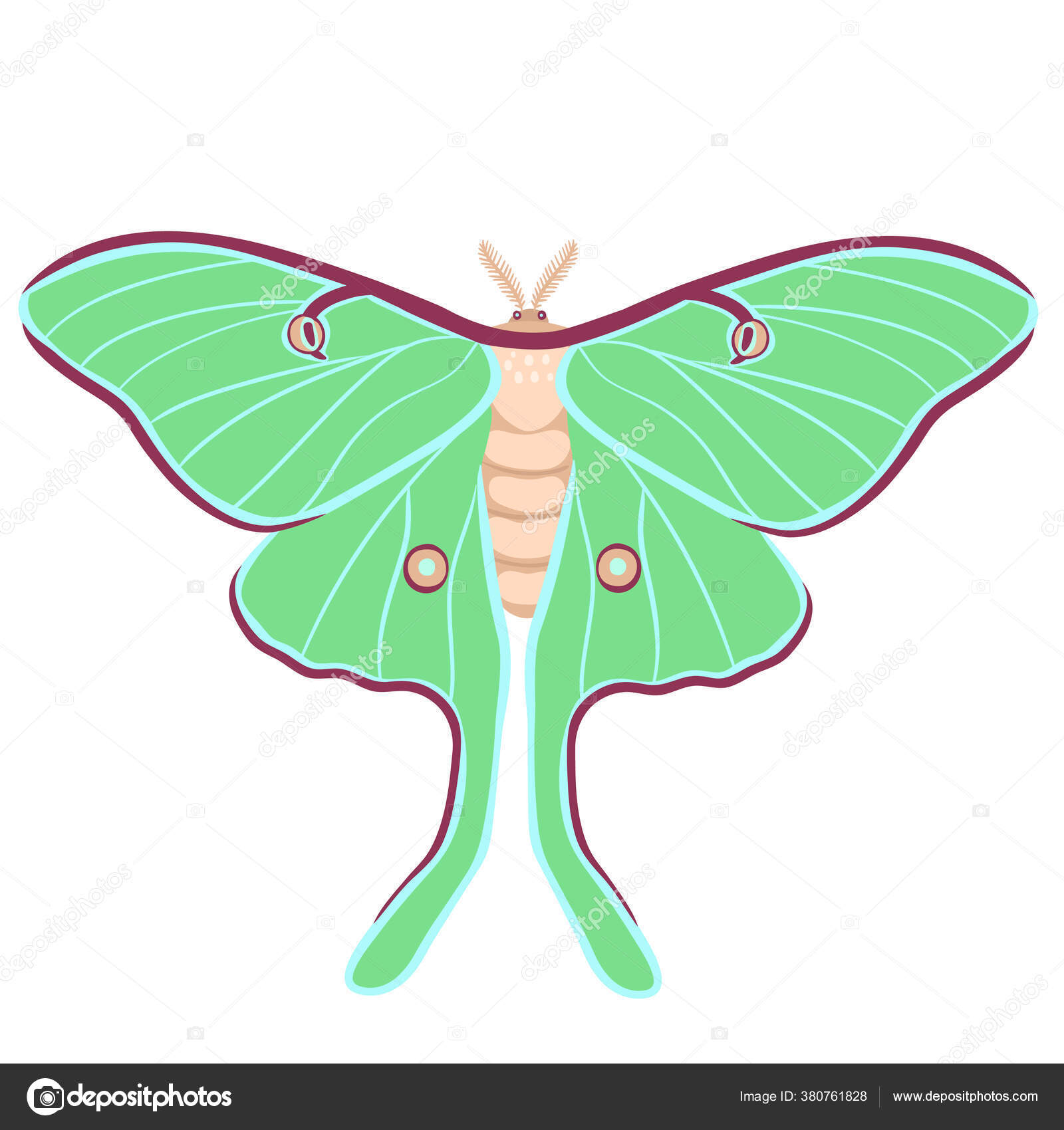 98 Luna Moth Vector Images Luna Moth Illustrations Depositphotos