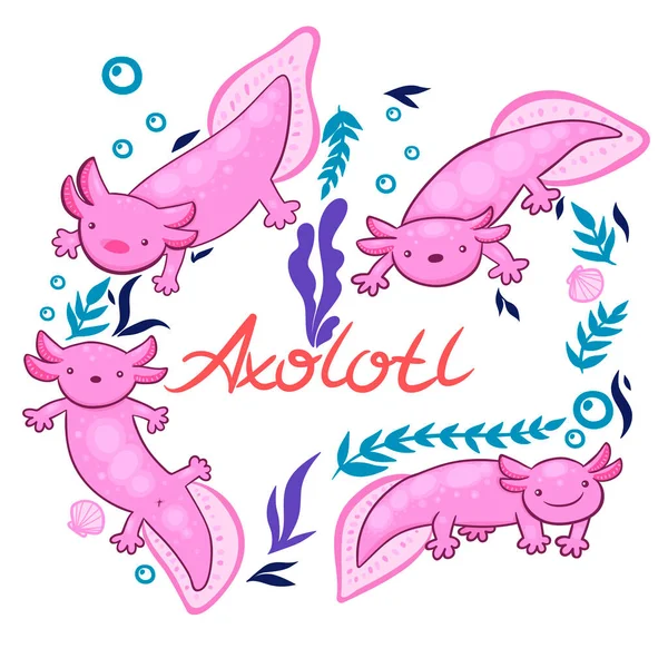 Conjunto Aislado Axolotl Sobre Fondo Blanco Imagen Vectorial — Vector de stock