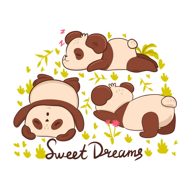 Schlafende Pandas Und Die Aufschrift Süße Träume Auf Weißem Hintergrund — Stockvektor