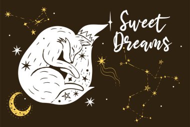 İçinde uyuyan bir tilki, yıldızlar ve tatlı rüyalar yazan bir poster. Vektör resmi.