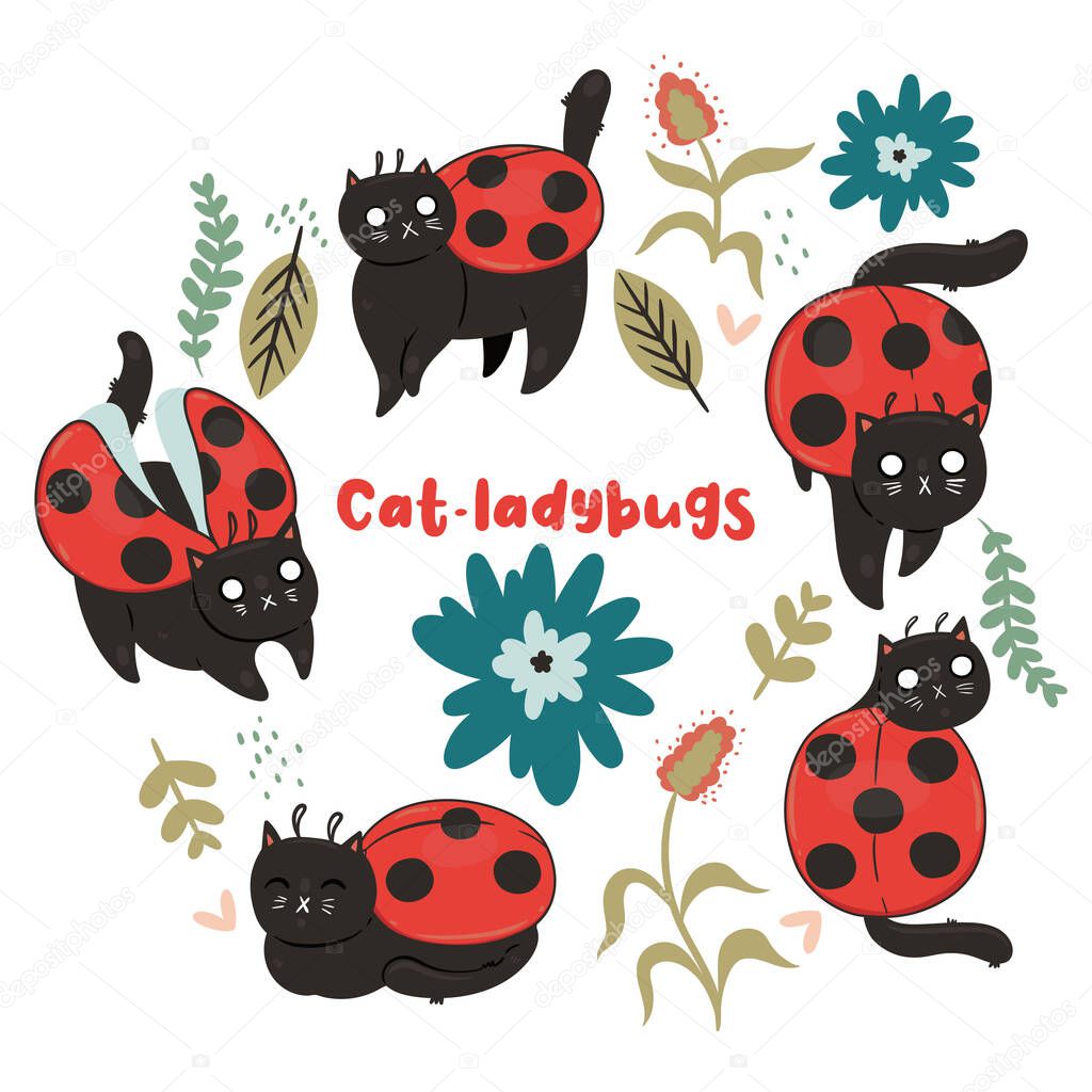 Set of ladybugs cats isolate on a white background. Vector image.